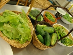 Harvest%20of%20prayer%204