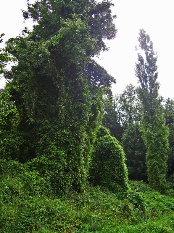 Slideshow image